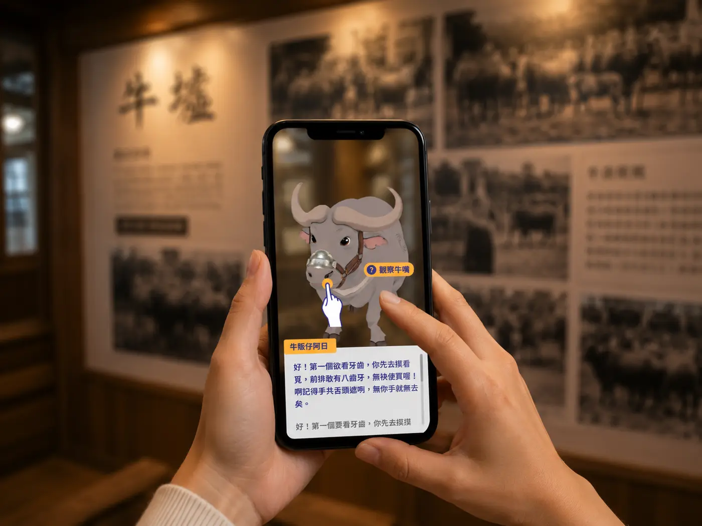 AR 考牛遊戲實際畫面：牛販仔阿日以台語導覽，教你觀察牛嘴、辨牛齡